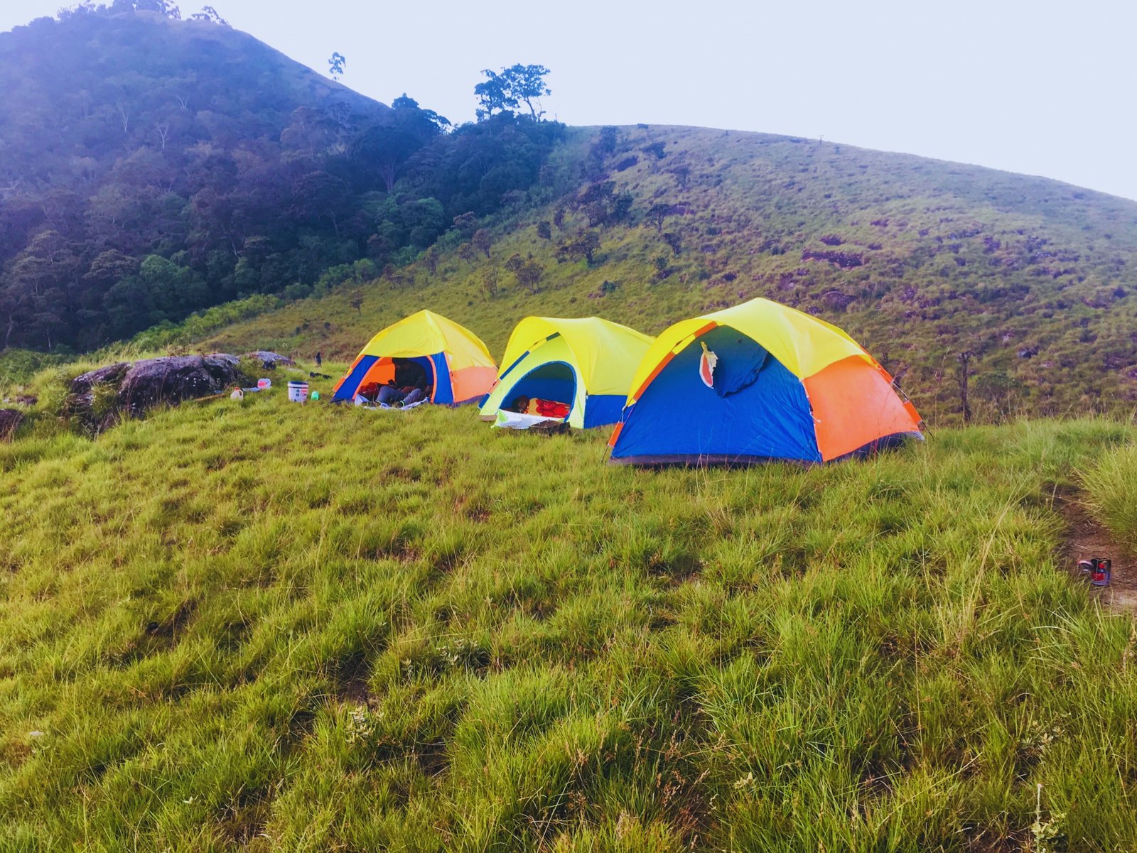 Horton Plains National Park