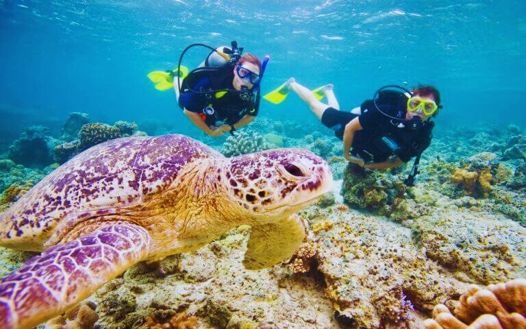 Snorkelling and Scuba Diving in Mirissa