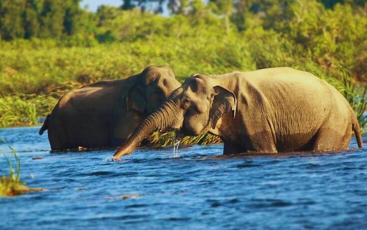 Gal Oya National Park