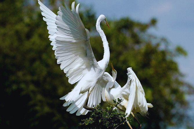 Bundala National Park