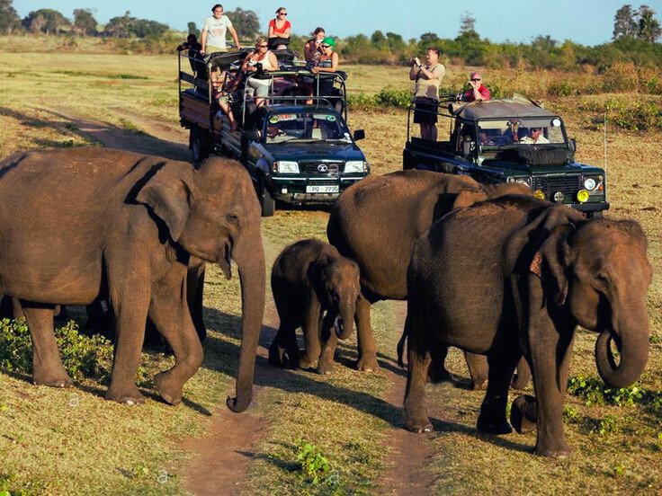 Udawalawe National Park