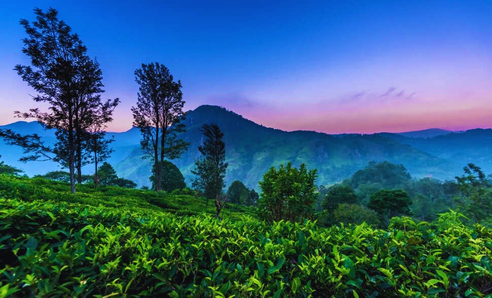 Nuwara Eliya, Sri Lanka