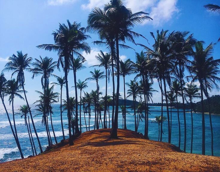 Mirissa, Sri Lanka