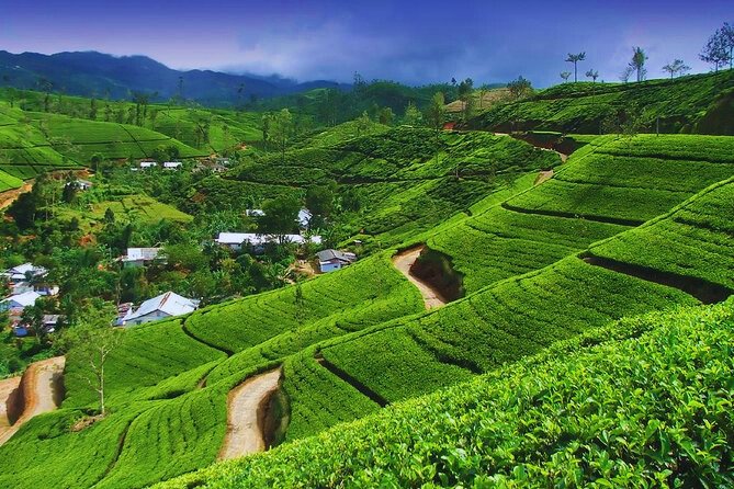 Nuwara Eliya, Sri Lanka